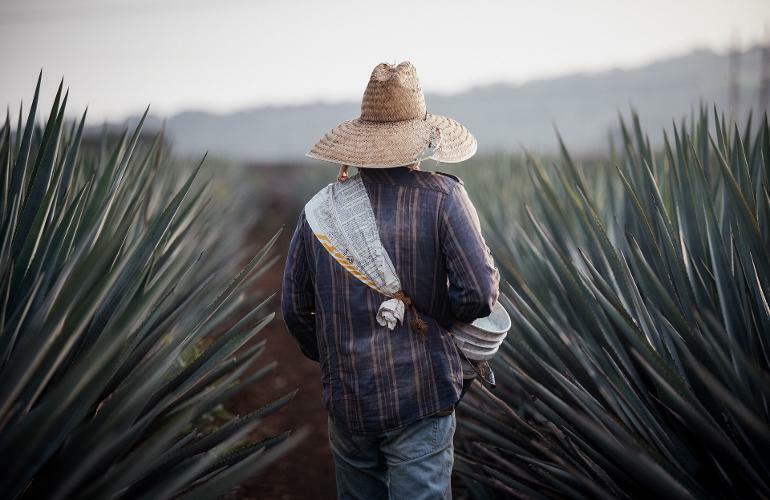 Agricultor mexicano