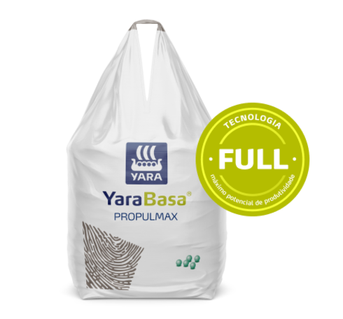 yarabasa