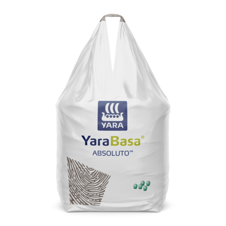 yarabasa-absoluto