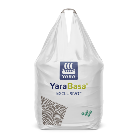 YaraBasa EXCLUSIVO