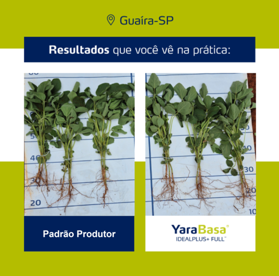 Resultado YaraBasa FULL