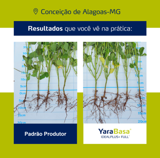 Resultado YaraBasa FULL