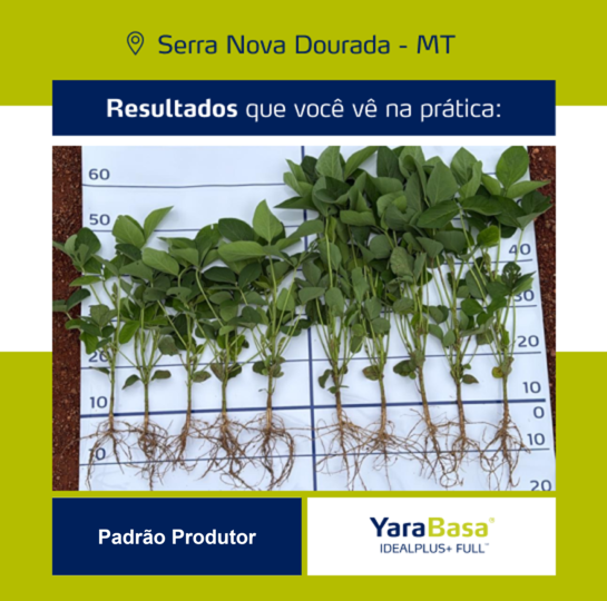 Resultado YaraBasa FULL