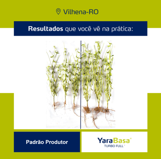 Resultado YaraBasa FULL