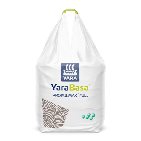 yarabasa