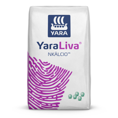 yarabasa