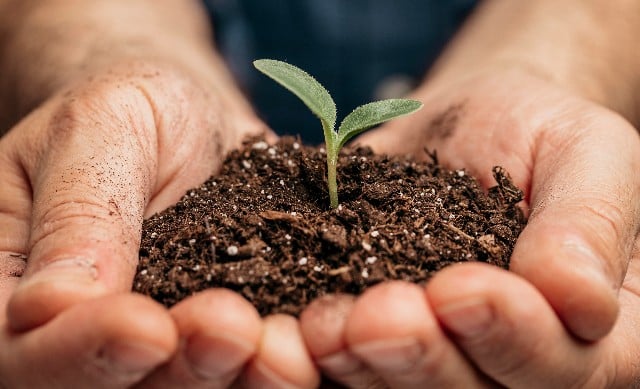 Fertilizantes Premium vs. Tradicionais: Quais Os Impactos Na Sua Produção?