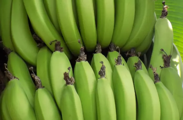 Bananas Verdes
