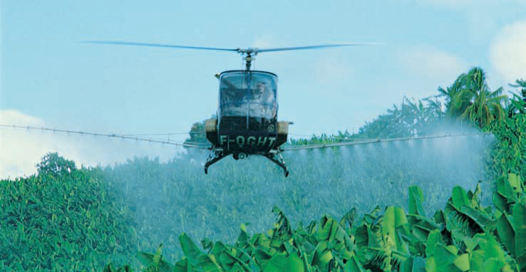 Proteção Cultura Banana