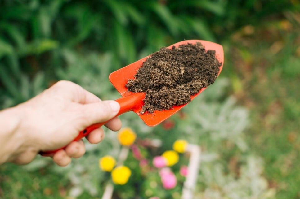Fertilização De Cobertura — Conheça Estratégias Eficazes Para Maximizar A Produtividade Agrícola