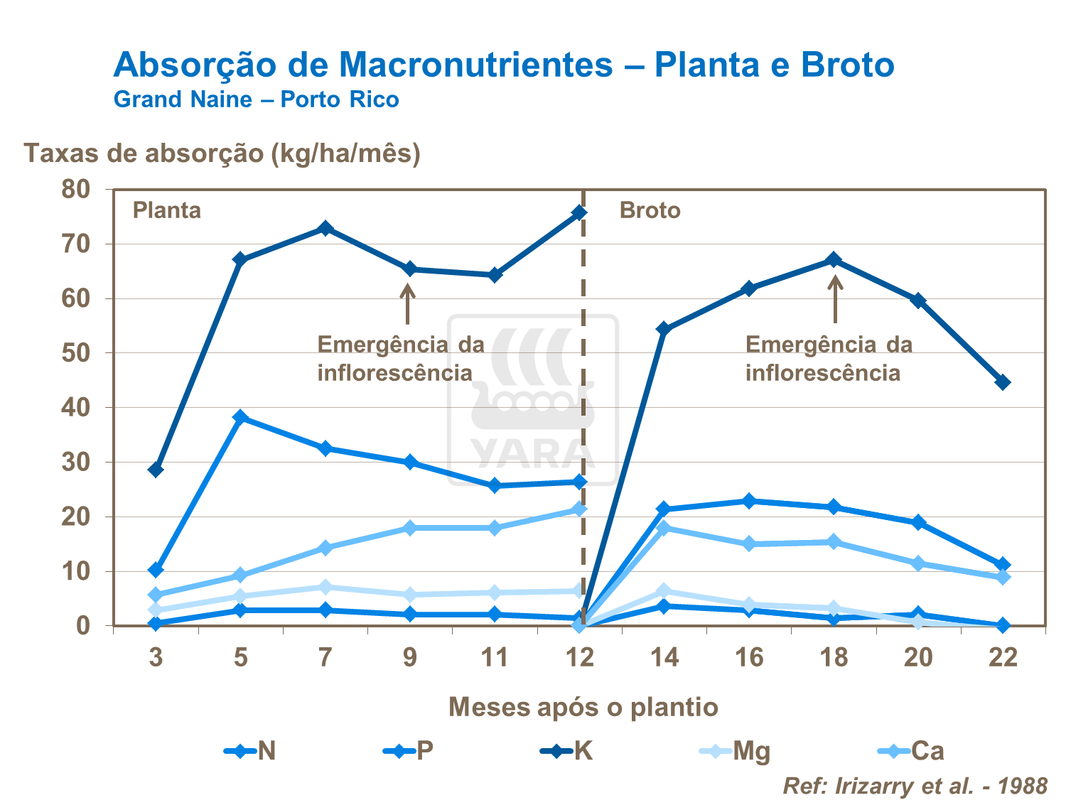 Absorção de macronutrientes