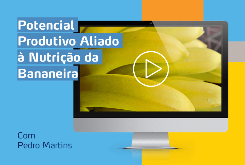 card com computador com imagem de uma cultura