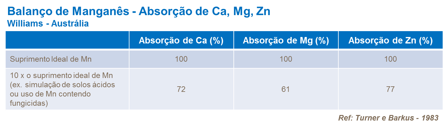 Balanço de Manganês