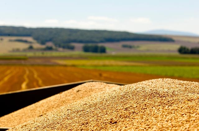 Grãos em caçamba com fazenda ao fundo