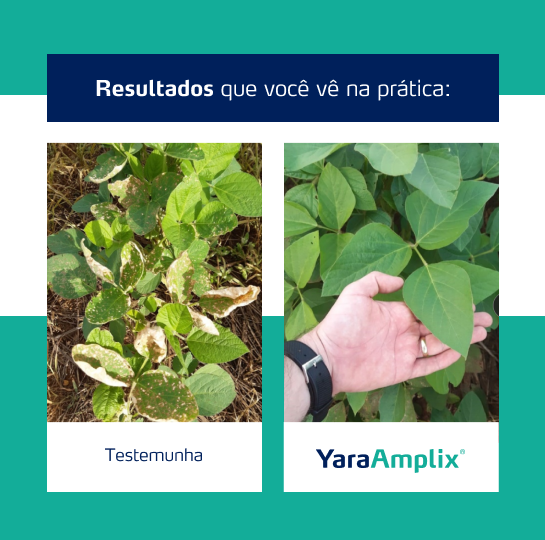 Resultado YaraAmplix BIOTRAC