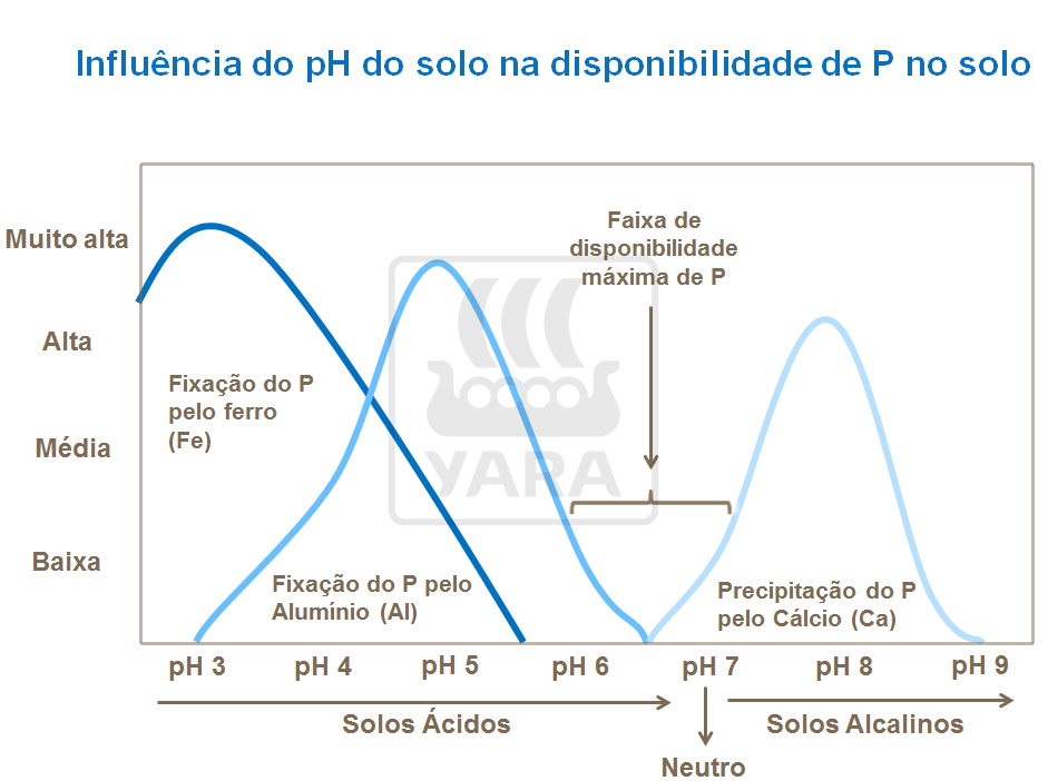 Influência Ph no solo