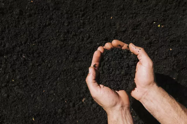 Granulometria do Solo e Sua Importância Para a Agricultura