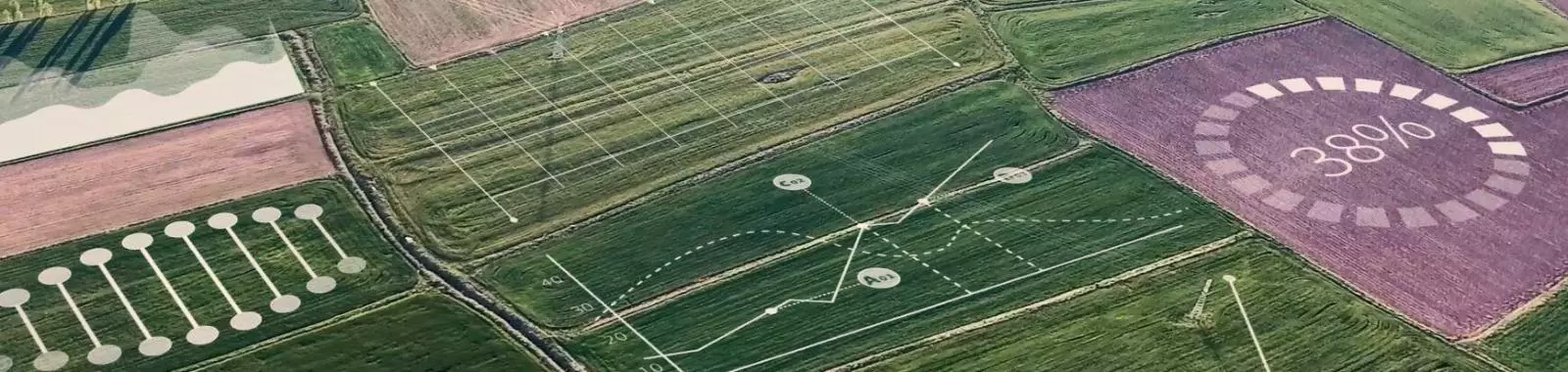 Vista aérea de lavoura