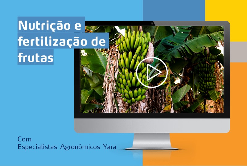 Banner webinar fruticultura
