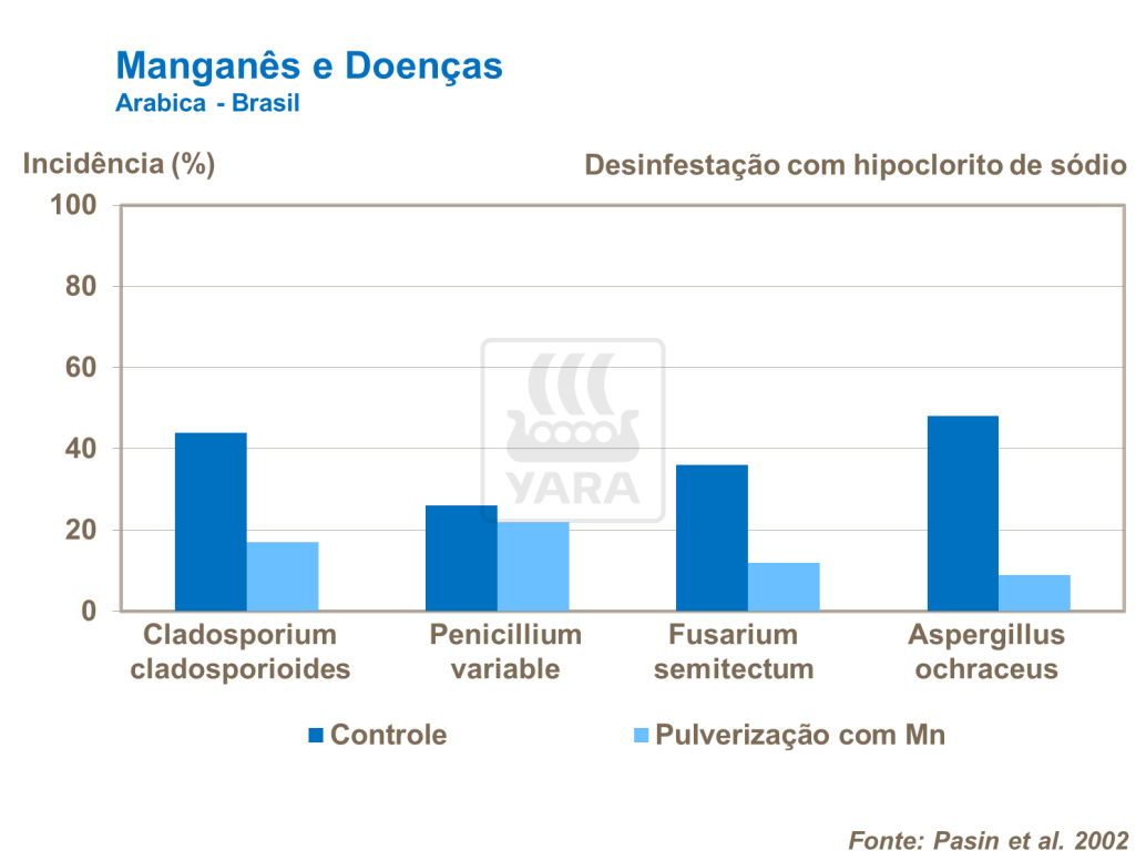 Manganês e doenças