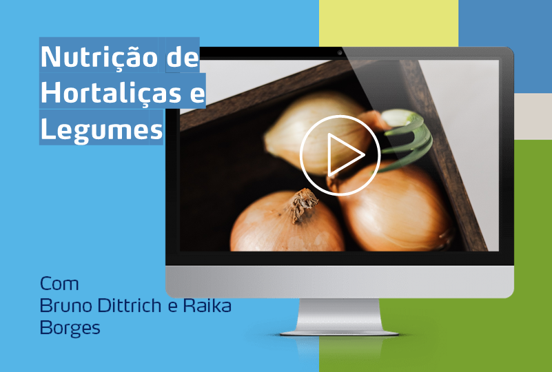 banner de webinar com cebola ao fundo