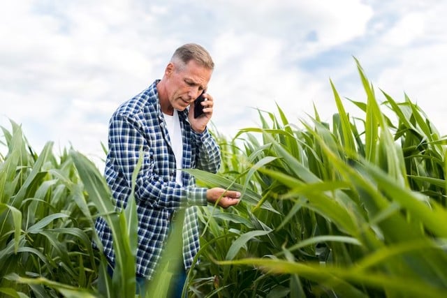 Saiba como a gestão agrícola transforma sua produção