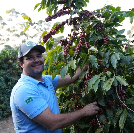 fazenda