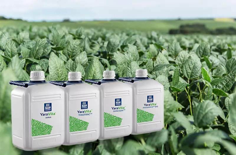  SuperSoja — Nutrição para Desenvolvimento Vegetativo da Soja