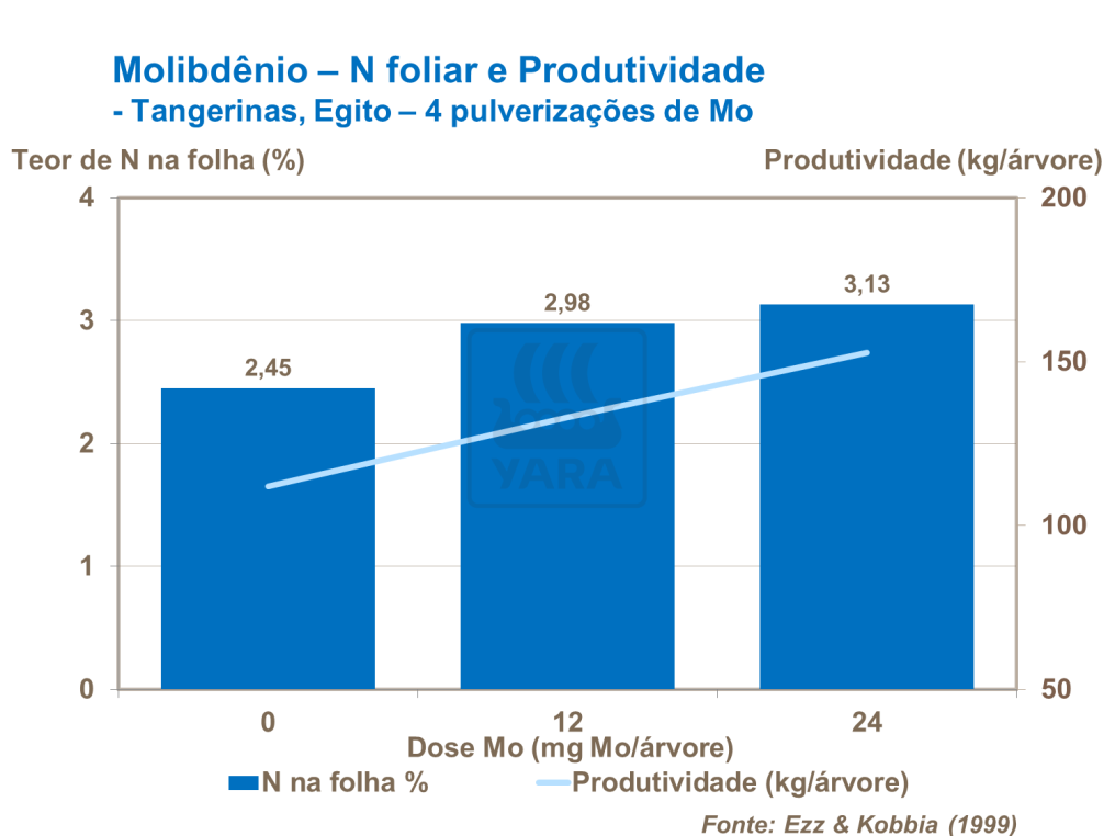 Molibdênio e produtividade
