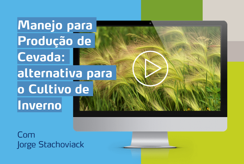 card com imagem de monitor com foto de cultura