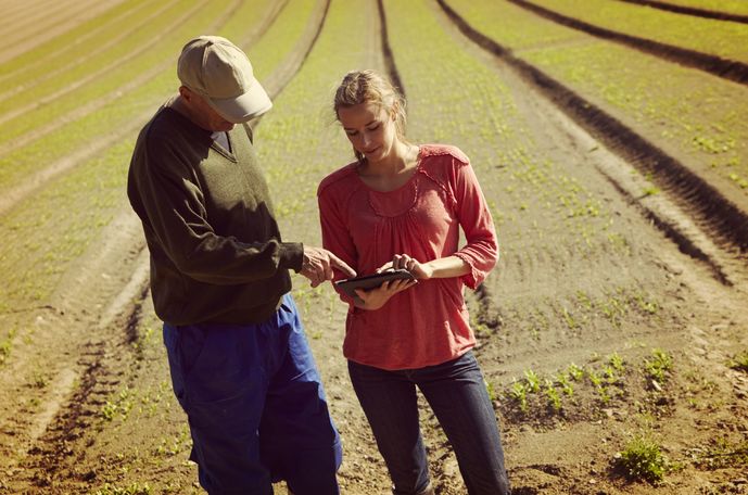 Pessoas usando tablet no campo