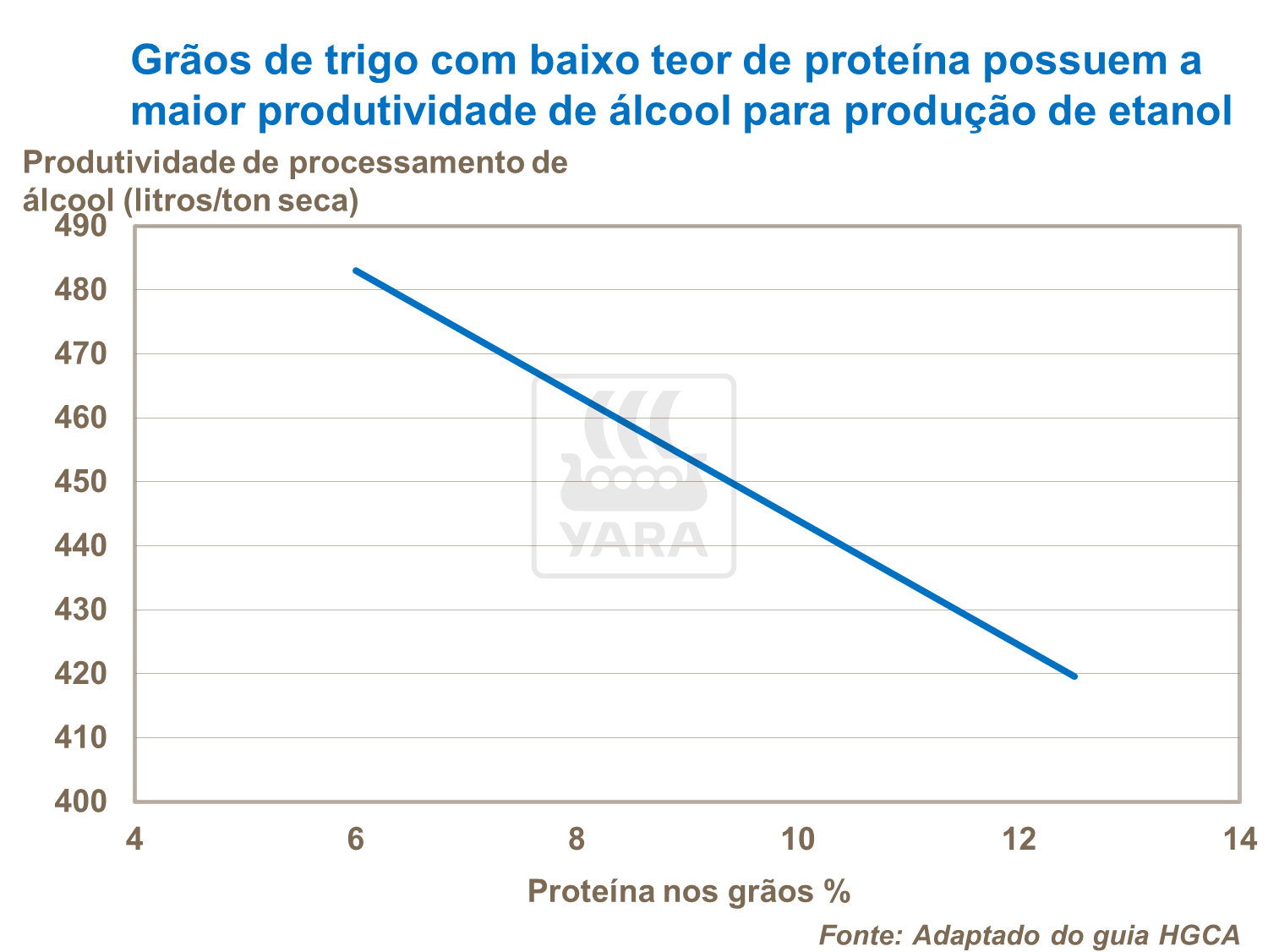 Grãos de trigo com baixo teor de proteína