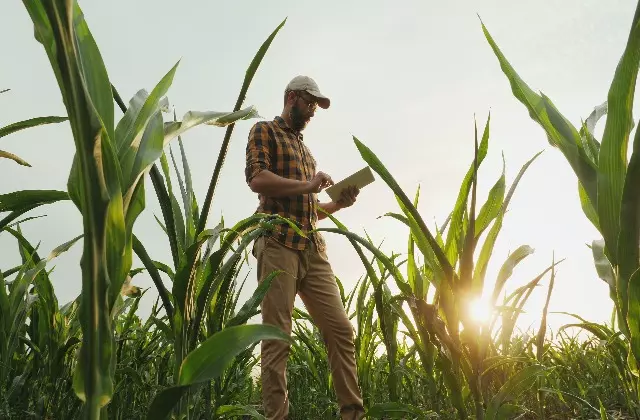 Dia do Engenheiro Agrônomo