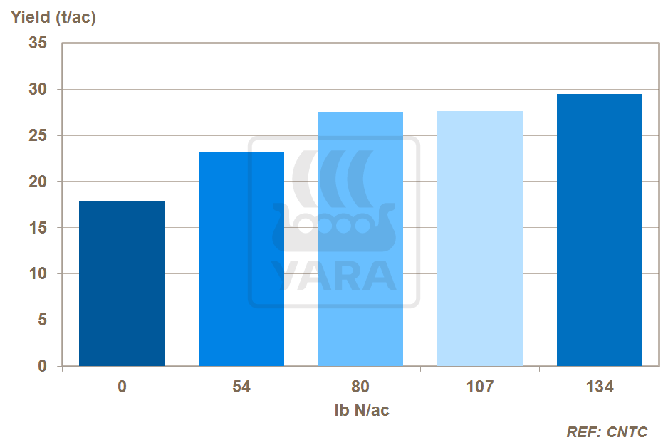 Nitrogênio e produtividade