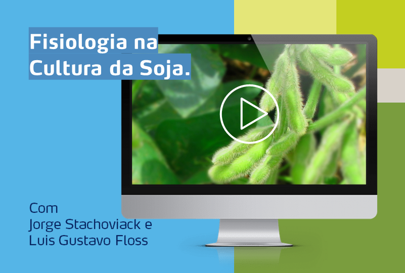 card com planta de soja