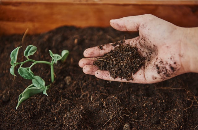 Adubos e Fertilizantes  — Entenda As Diferenças e Os Benefícios