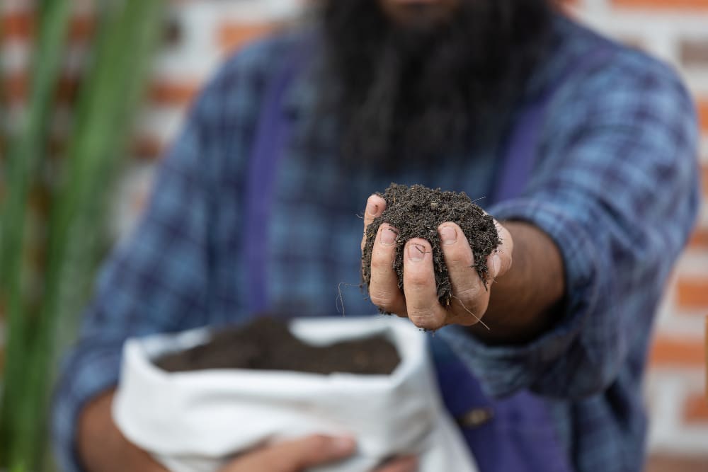 Eficiência De Fertilizantes — Entenda Como Maximizá-la