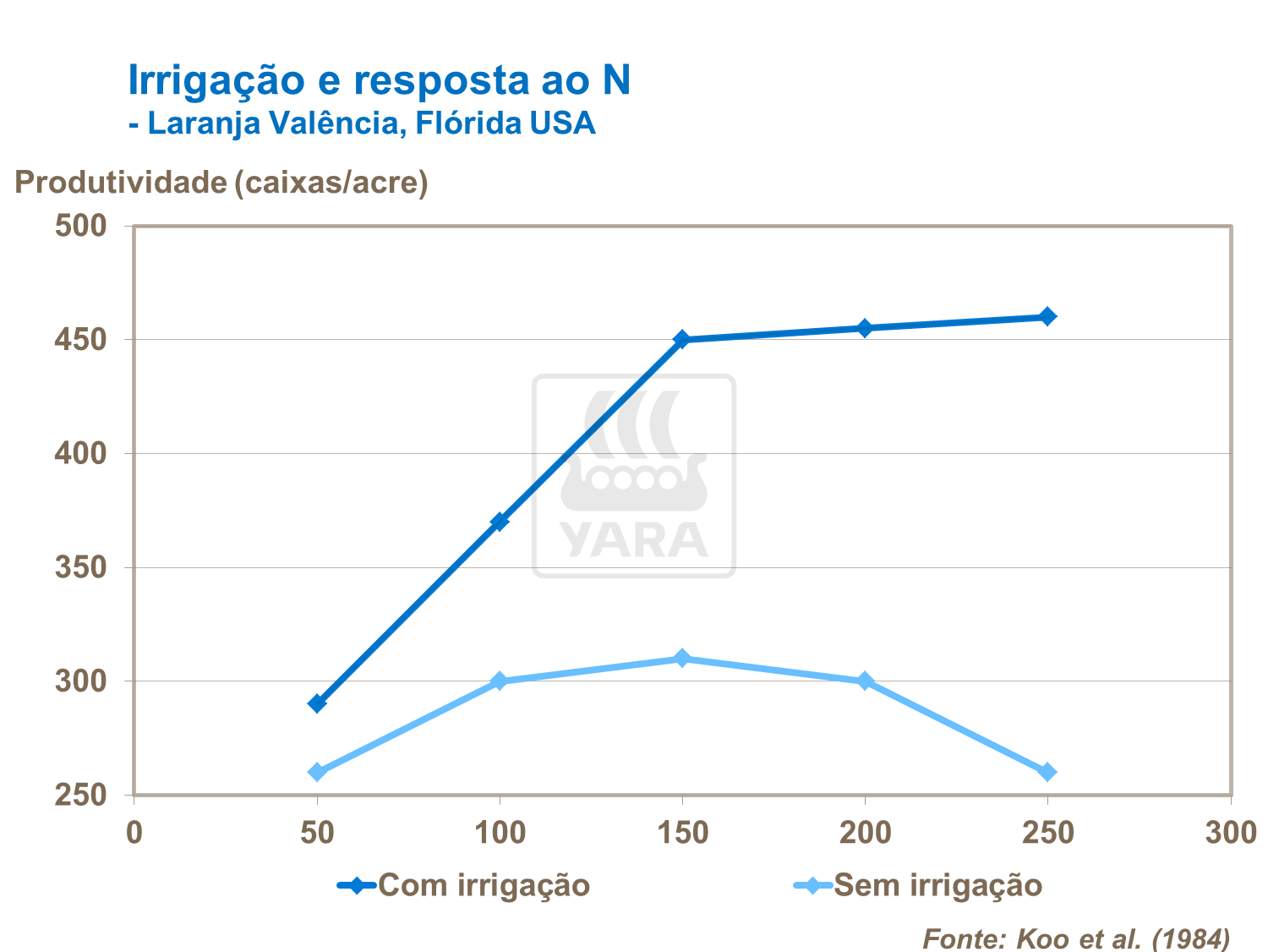 Irrigação e resposta ao N