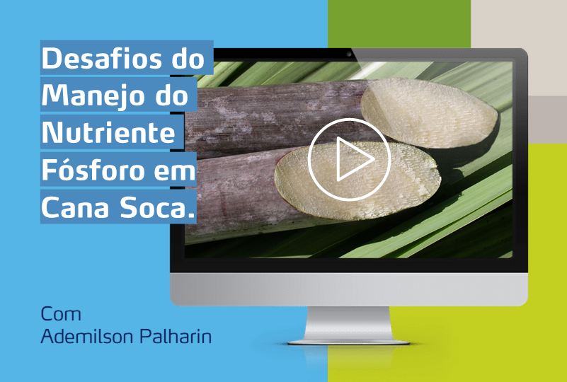 monitor com foto de cana