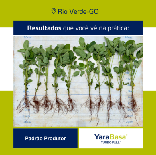 Resultado YaraBasa FULL