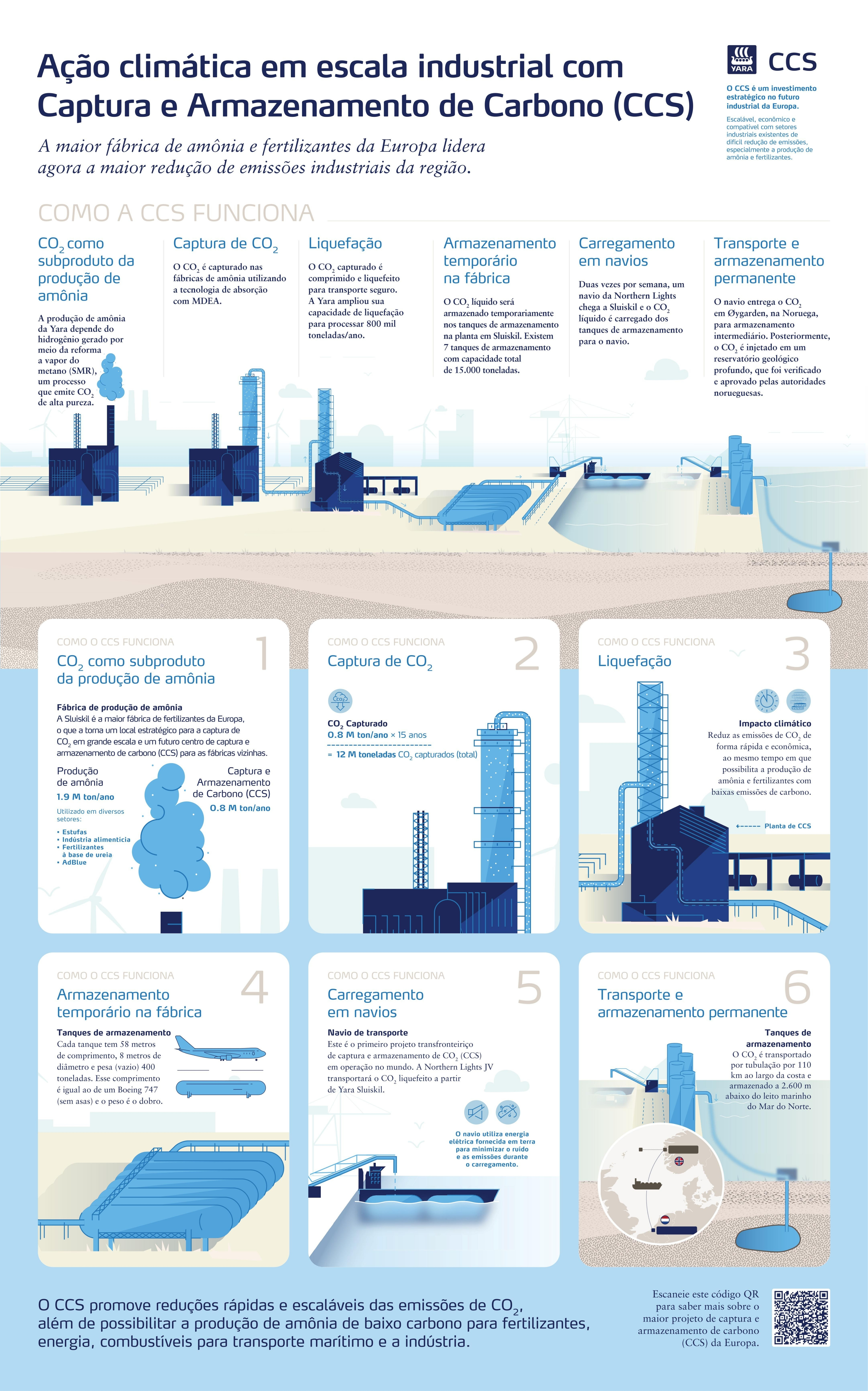 infogr&aacute;fico CCS