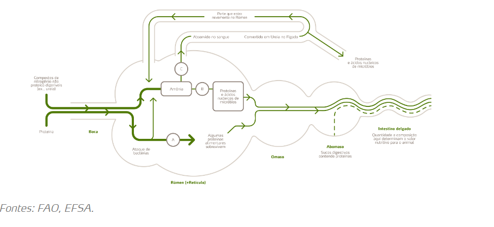 Diagrama

Descrição gerada automaticamente
