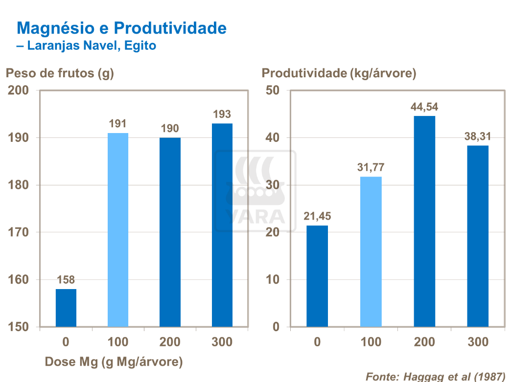Magnésio e produtividade