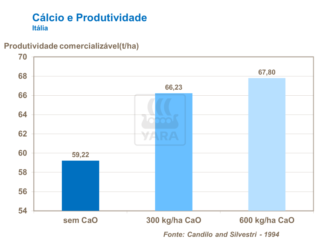 Cálcio e produtividade
