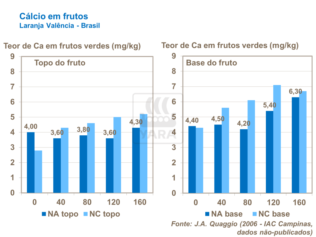 Calcário em frutos