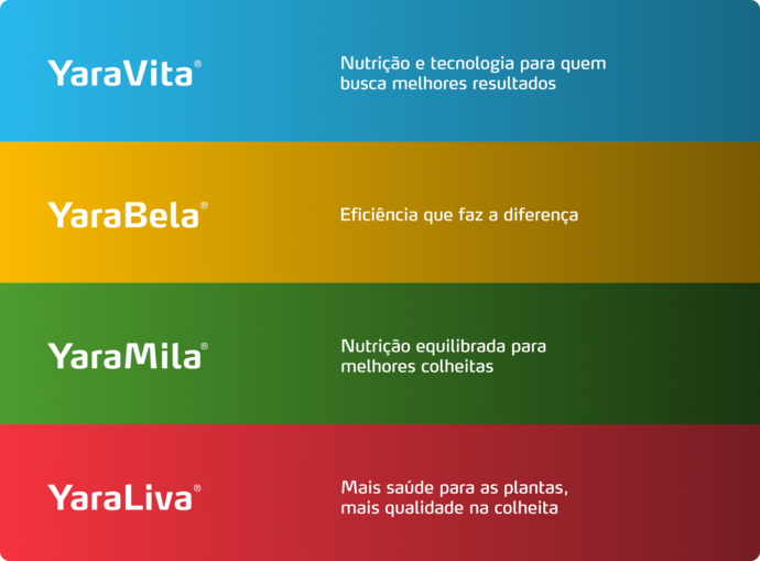 Imagem de pack de produtos do programa nutricional do abacaxi