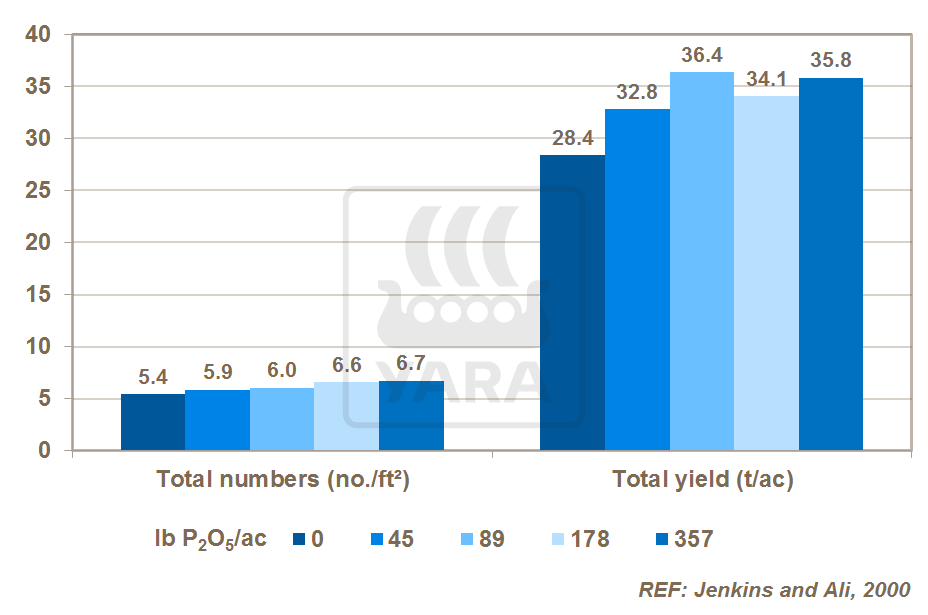 Fósforo e produtividade