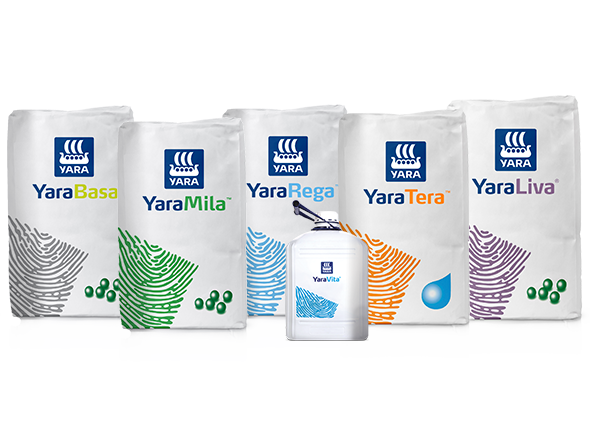 Pack de produtos recomendados para hortifruti