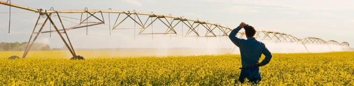 Nutrição de plantas