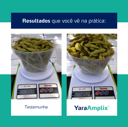 Resultado YaraAmplix BIOTRAC
